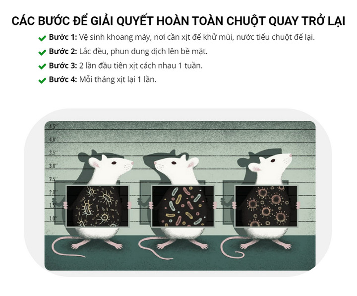 Bình Xịt Đuổi Chuột Fantastic XmL️ Dùng Để Chống Chuột Vào Khoang Máy Ô tô - Home and Garden