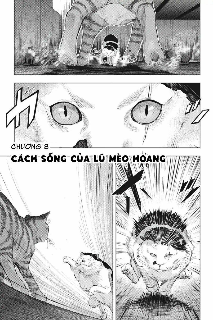 nyankees chapter 8 5