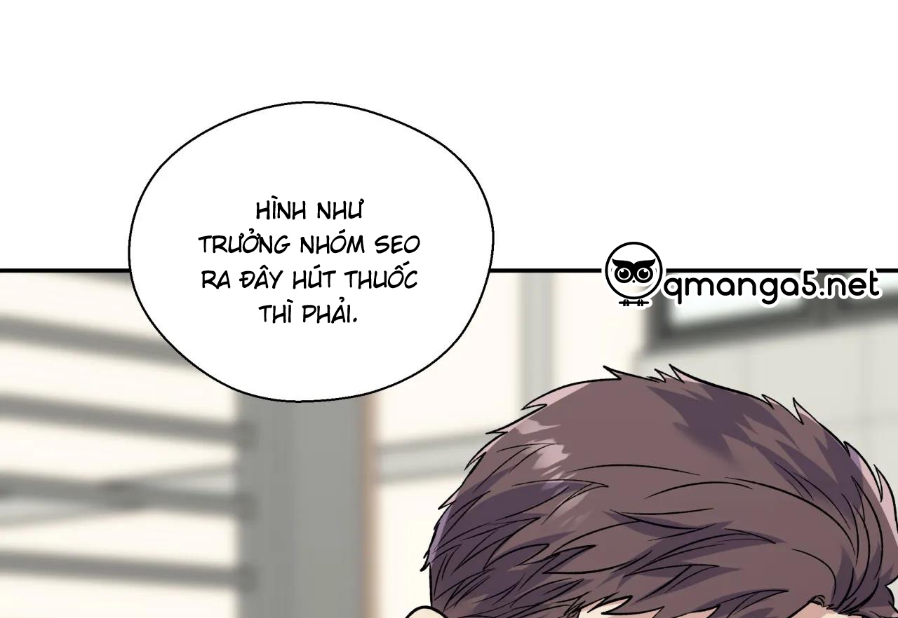 ám ảnh pheromone chapter 41 17