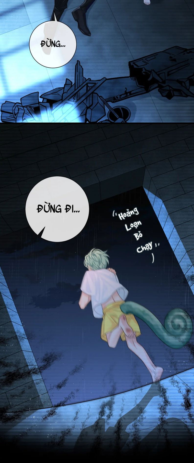 nhân ngư rơi xuống chapter 39 29