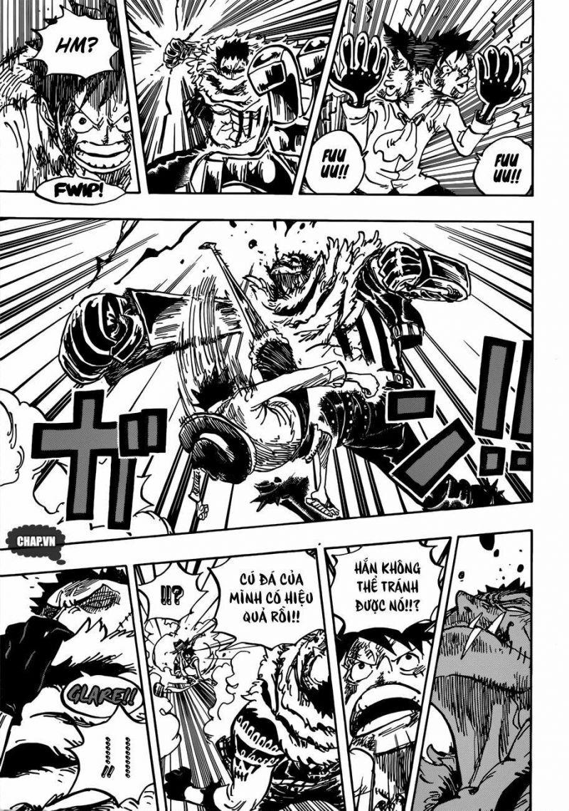 đảo hải tặc - one piece chapter 883 14