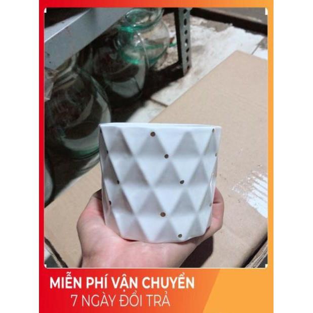 Chậu Trồng Cây