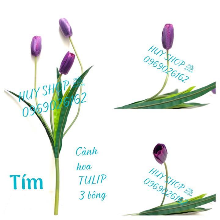 HOA GIẢ - CÀNH HOA TULIP 3 BÔNG