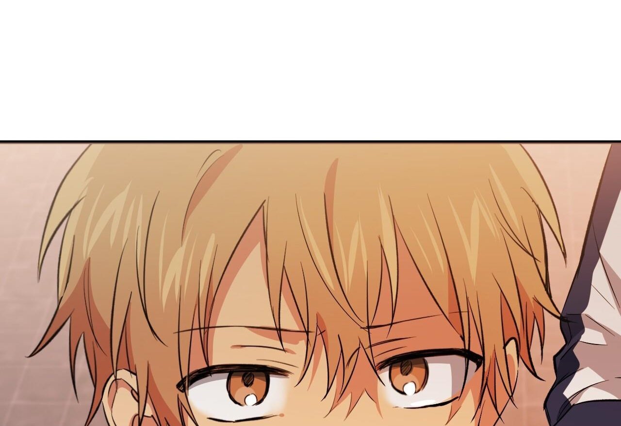 những chú thỏ của hapypy chapter 62 258