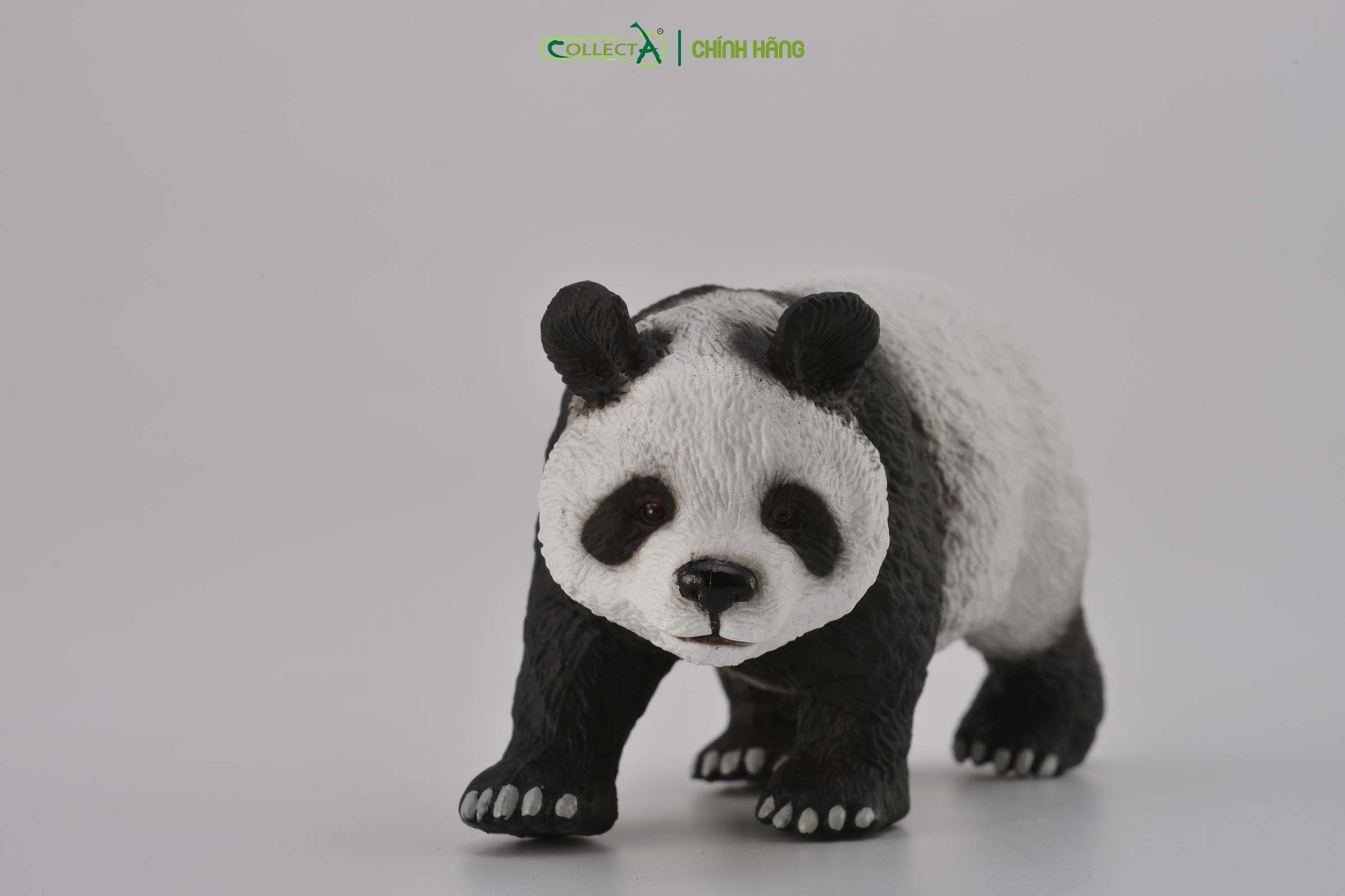 Mô hình thu nhỏ: Gấu Trúc - Giant Panda, hiệu: CollectA, mã HS 9651220[88166] -  Chất liệu an toàn cho trẻ - Hàng chính hãng