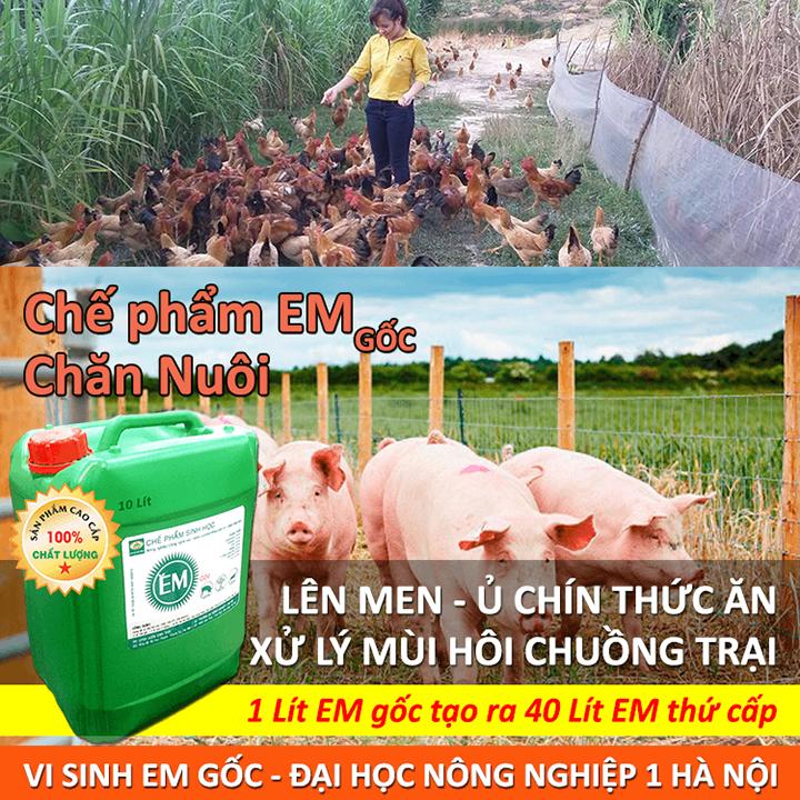 Chế phẩm sinh học EM gốc (EM1). Men vi sinh Đại Học Nông Nghiệp 1 Hà Nội. Chứa hàng tỷ bào tử hữu hiệu. Từ 1 lít EM gốc sản xuất ra 40 lít EM thứ cấp. Can 10 lít. HSD: 2 năm