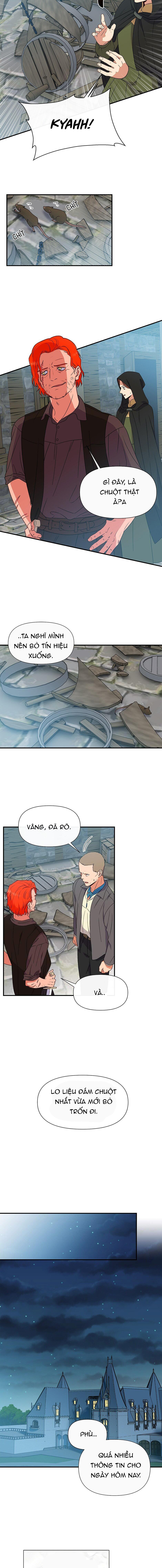 bản khế ước với nữ công tước ác ma chapter 95 12