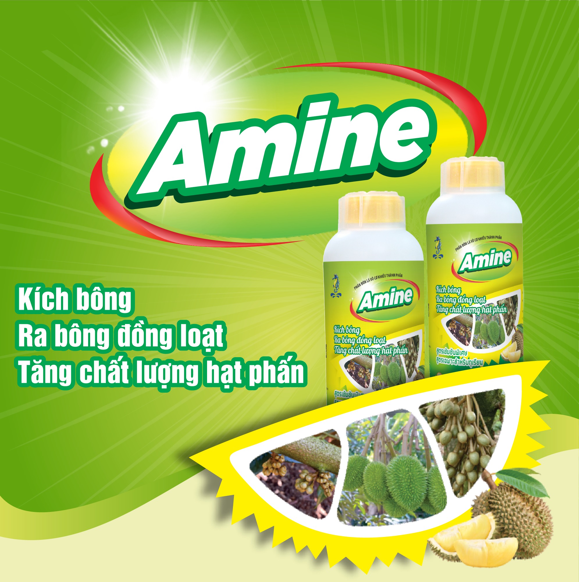 Phân bón lá AMINE (Cây sầu riêng) 500ML