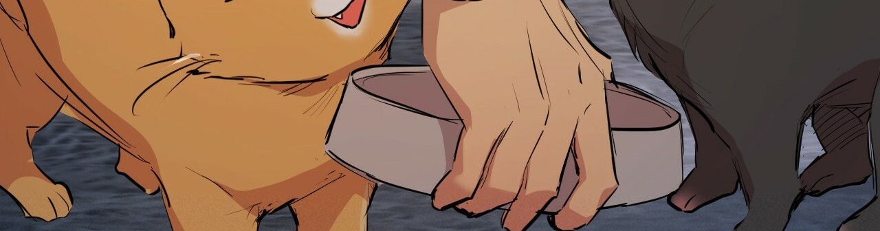 đàn thỏ của habibi chapter 22 533