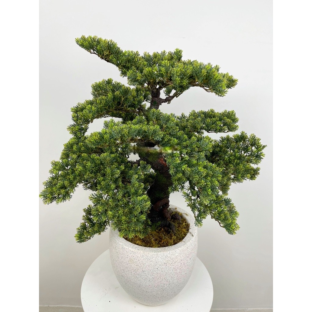 Cây tùng lá ngắn giả - Cây bonsai giả - Cây giả, hoa lụa Decor trang trí nhà cửa