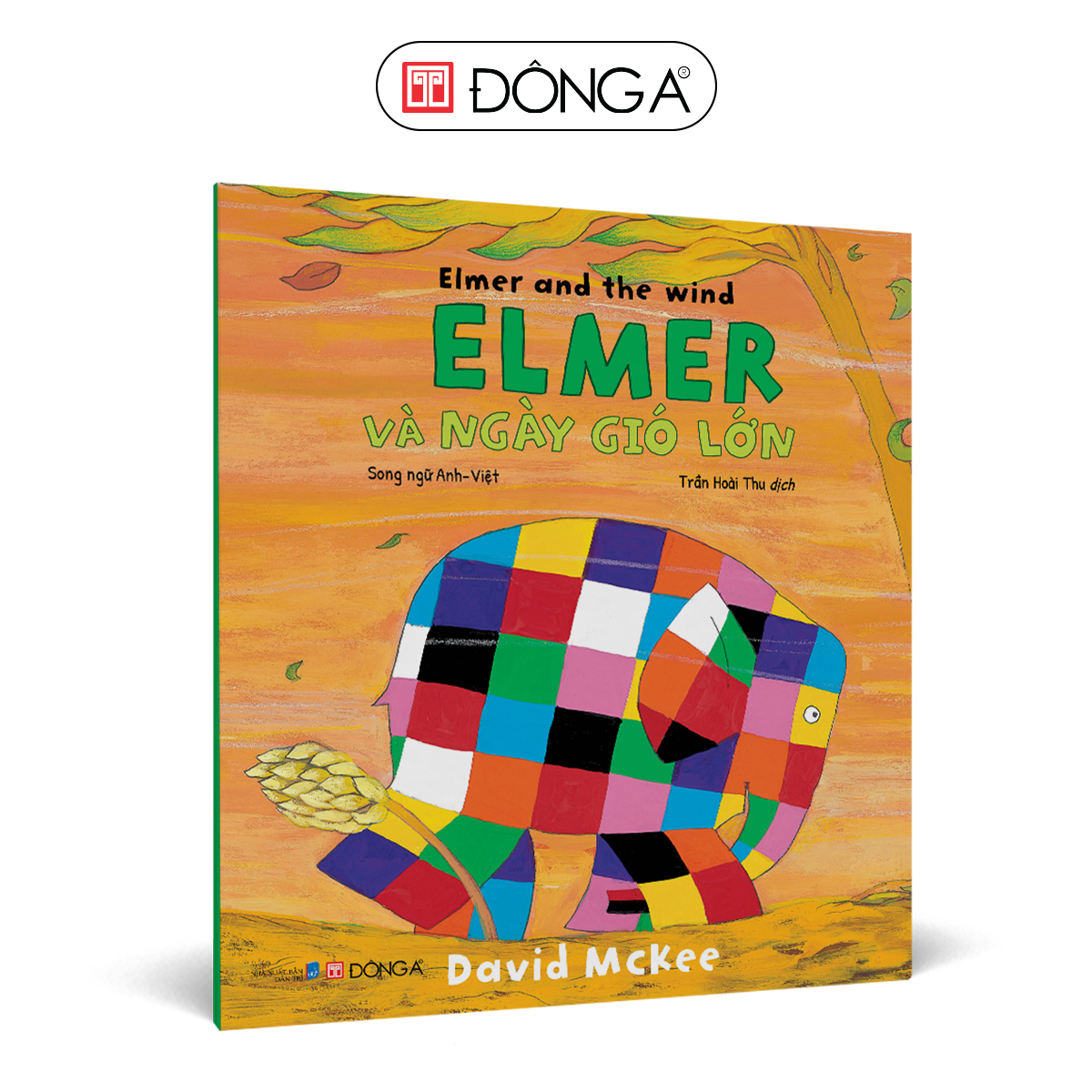 Elmer và ngày gió lớn