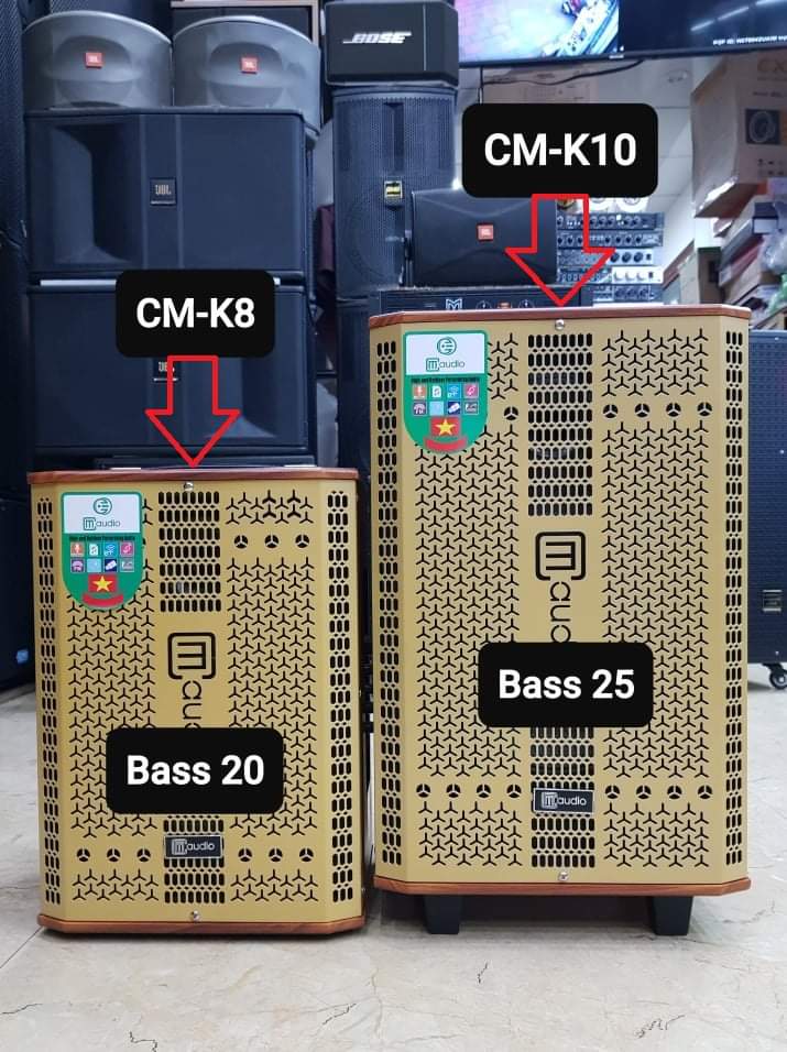 Loa kéo Karaoke Bluetooth CM.Audio CM-K8: Bass 20, Có 2 Micro không dây đi kèm