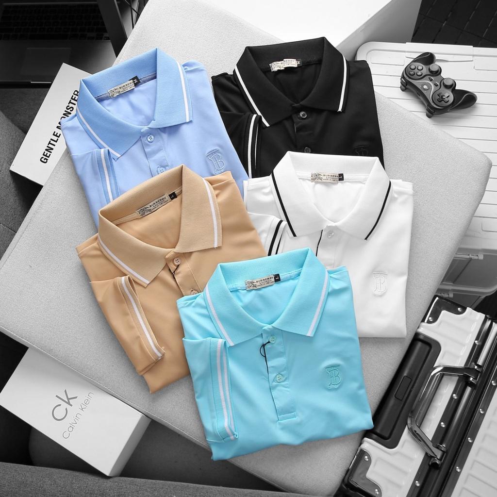 Áo thun nam cá sấu cao cấp có big size, hàng VNXK