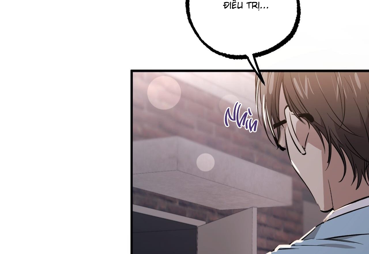 những chú thỏ của hapypy chapter 59 94