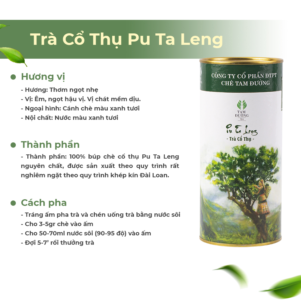 Trà Cổ Thụ Pu Ta Leng Chính Hiệu Tam Đường Hương Thơm Mát, Vị Chát Đặc Đặc Trưng Của Trà Truyền Thống