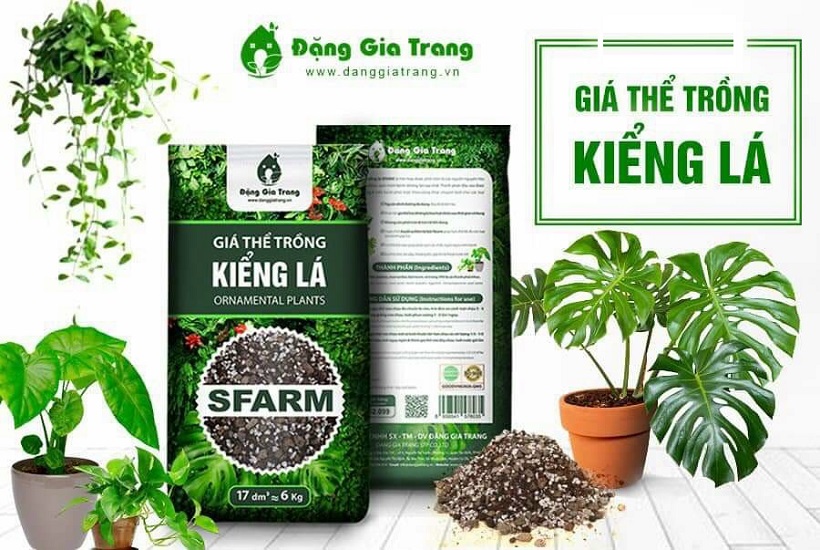 1Kg Giá Thể Trồng Cây Kiểng Lá Sfarm - Đất Hỗn Hợp Trồng Cây Cảnh