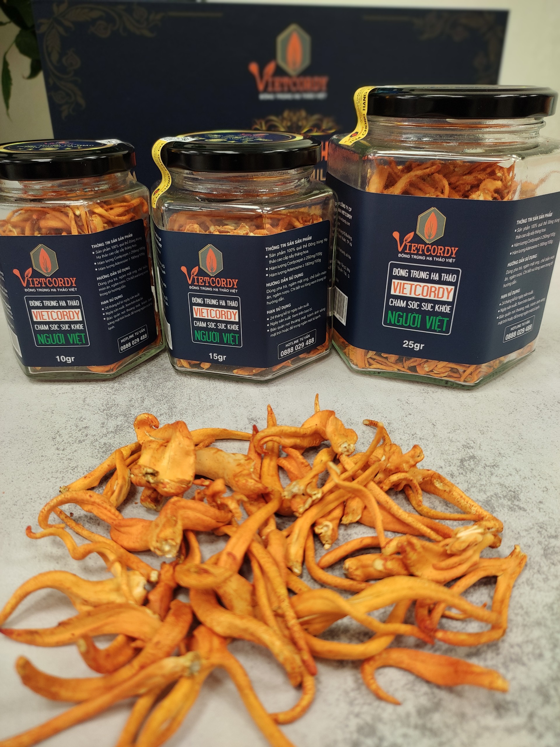 DEAL SỐC { Mua 3 hộp 10g tặng thêm 1 hôp 10g } đông trùng hạ thảo cao cấp Viet Cordy