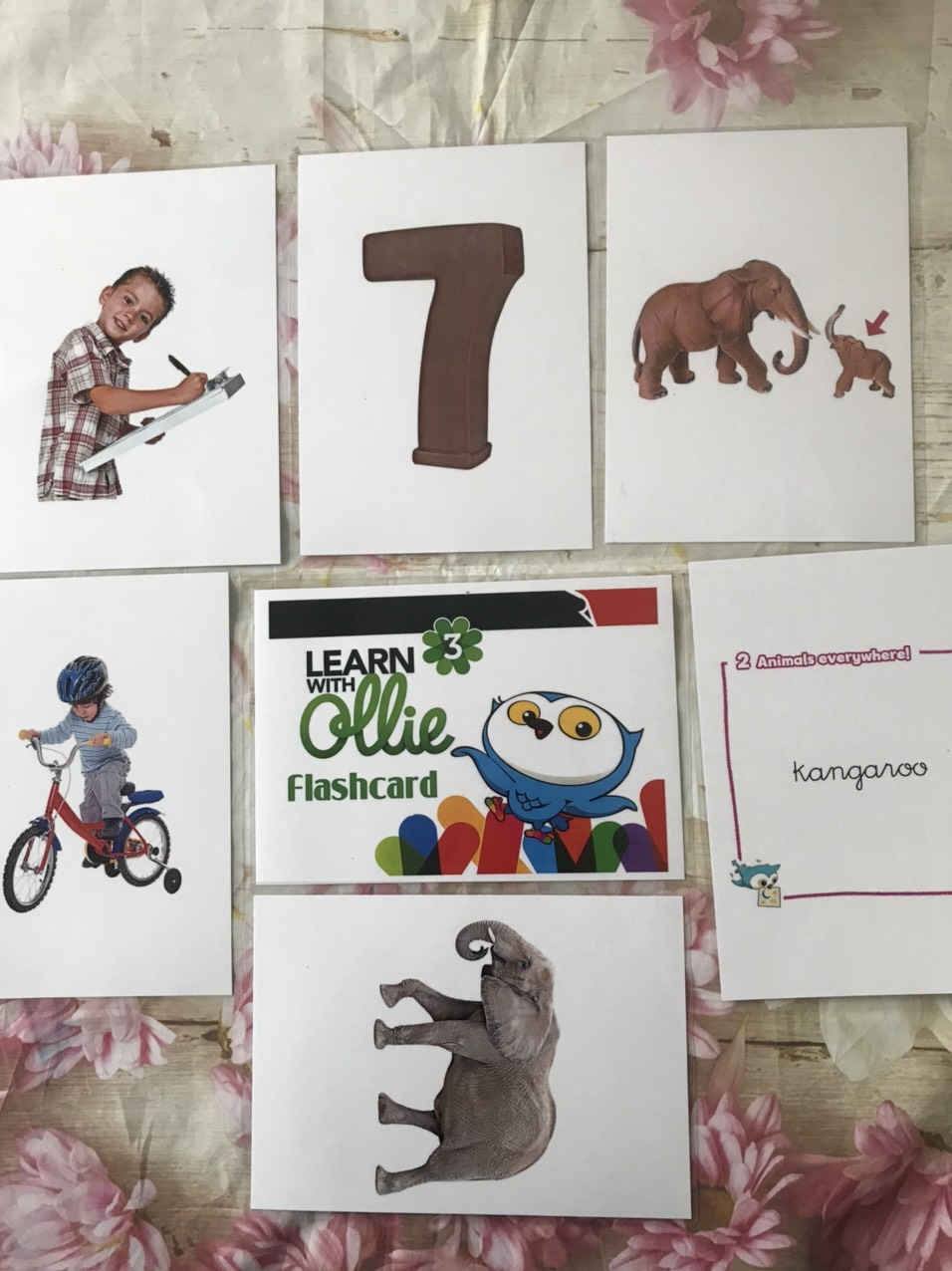 FLASHCARDS OLLIE LEVEL 3 - 190 THẺ ÉP PLASTIC