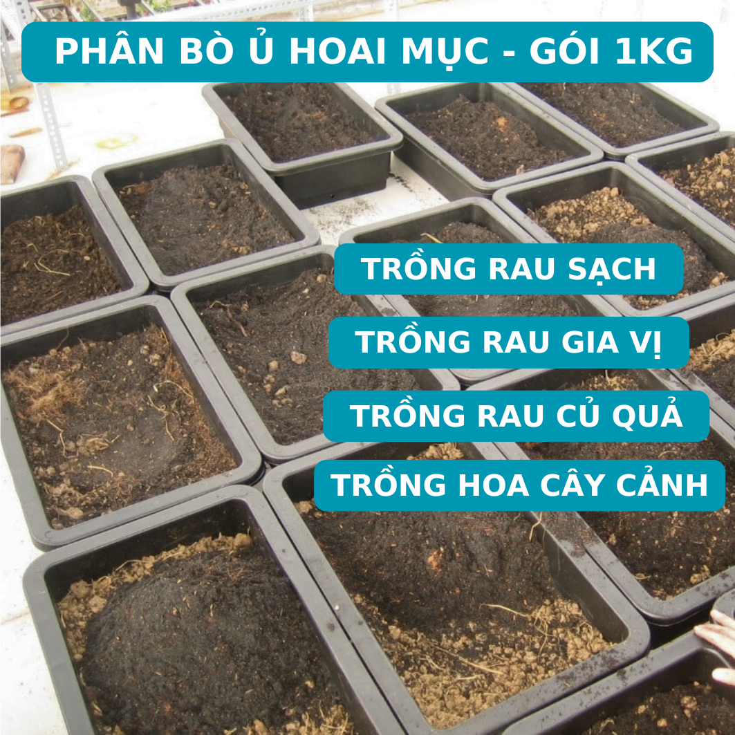 Phân Bò Đã Qua Xử Lý ủ Trichoderma, Chuyên Rau Sạch, Cây Cảnh, Cây Ăn Trái, Hoa (Gói 1Kg)