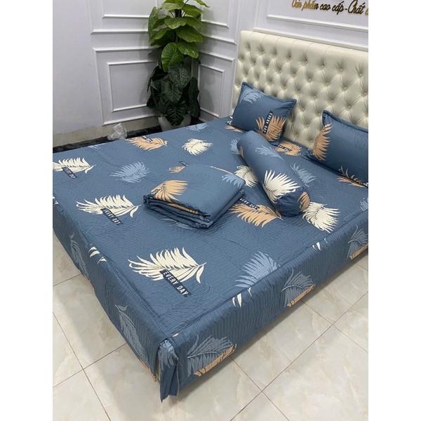 Bộ ga phủ trần bông cottong 5 món ảnh chụp thật