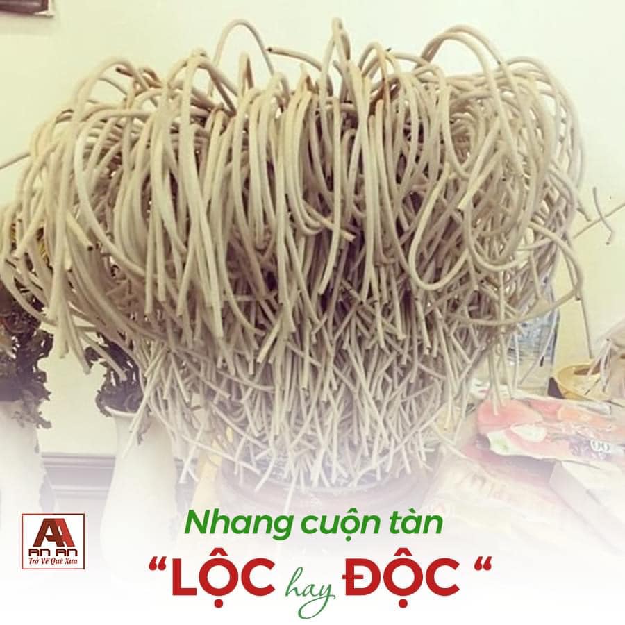 Nhang Quế - Nhang Khuynh Diệp (Nhang sạch - Sản phẩm hữu cơ) - Loại 30cm (Thích hợp cho chung cư, trần thấp