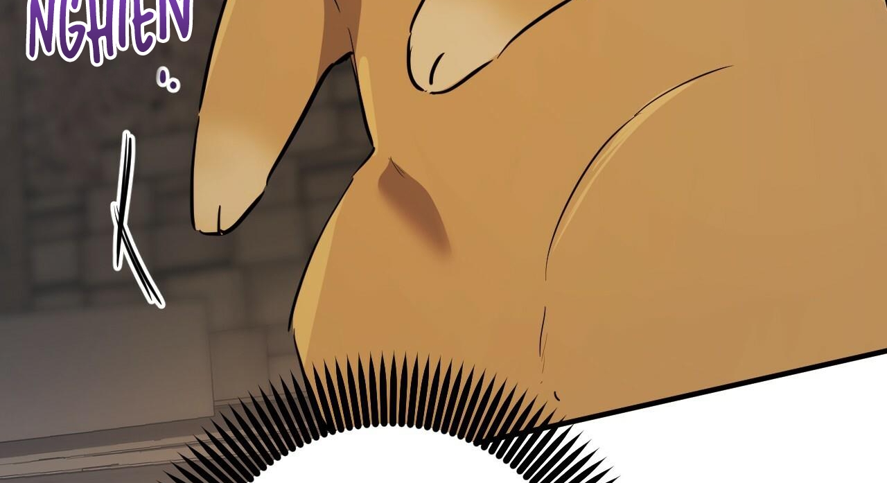 đàn thỏ của habibi chapter 47 294