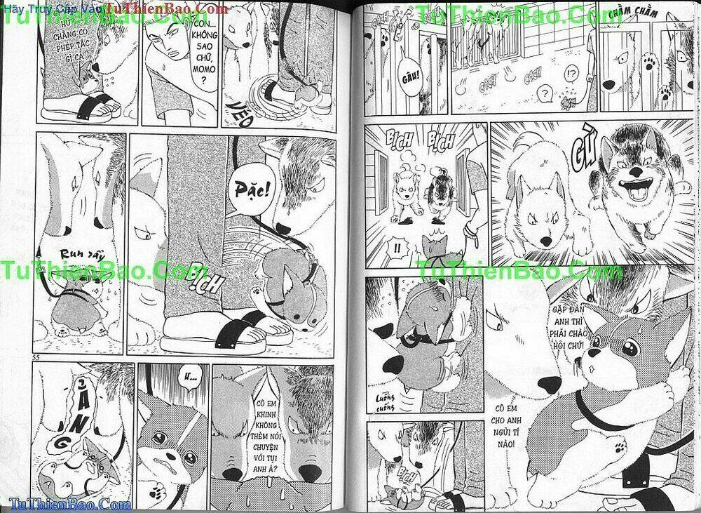 chó con mo mo chapter 2 28