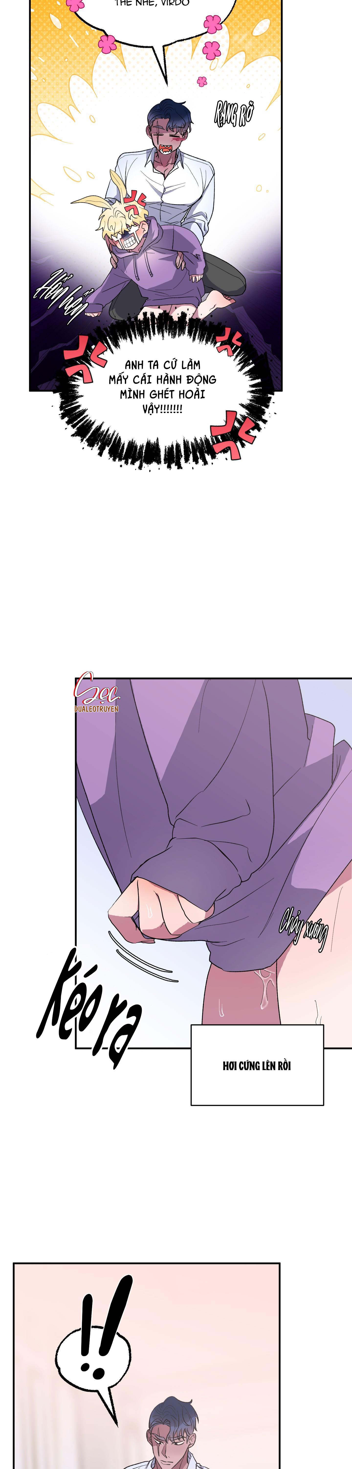 cá mập và cô dâu thỏ chapter 6 5