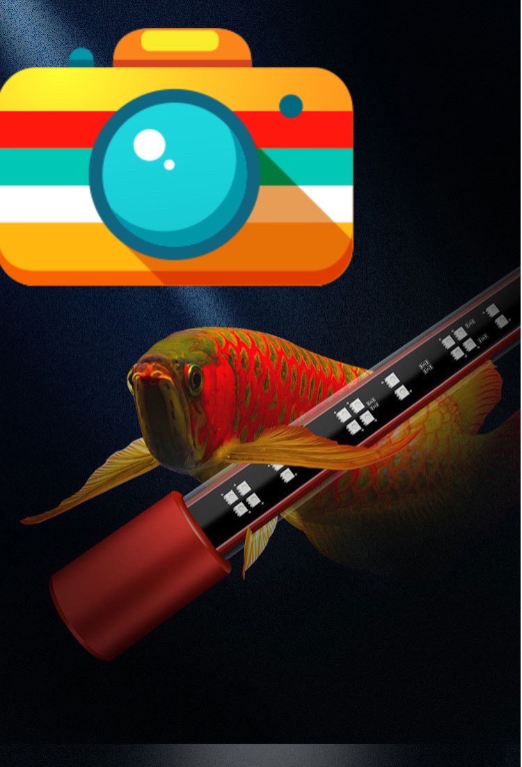 Đèn Led MAYIN 72cm Super Color chuyên dụng cho huyết long !!
