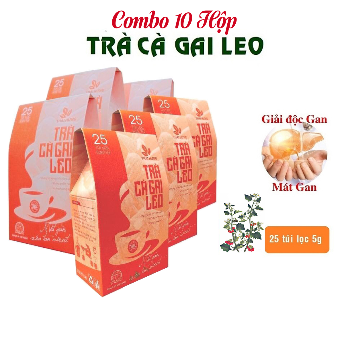 Combo 10 Hộp Trà Cà gai leo Thái Hưng 25 túi lọc x 05g - Mát gan, giải độc, giải rượu, giảm mụn nhọt