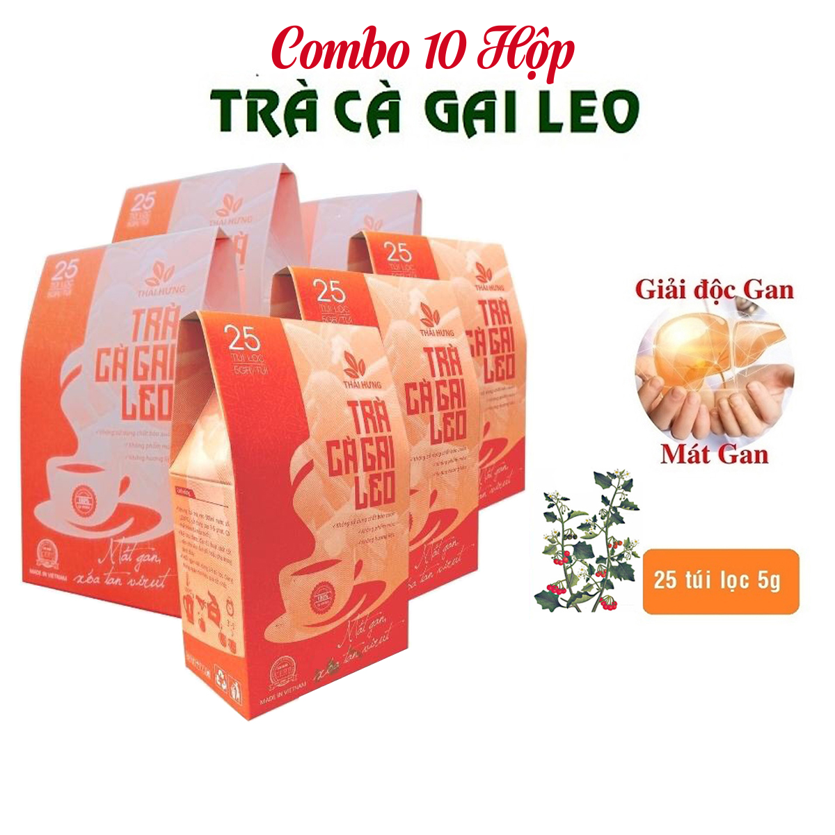 Combo 10 Hộp Trà Cà gai leo Thái Hưng 25 túi lọc x 05g (125g) - Mát gan, giải độc, giải rượu, giảm mụn nhọt