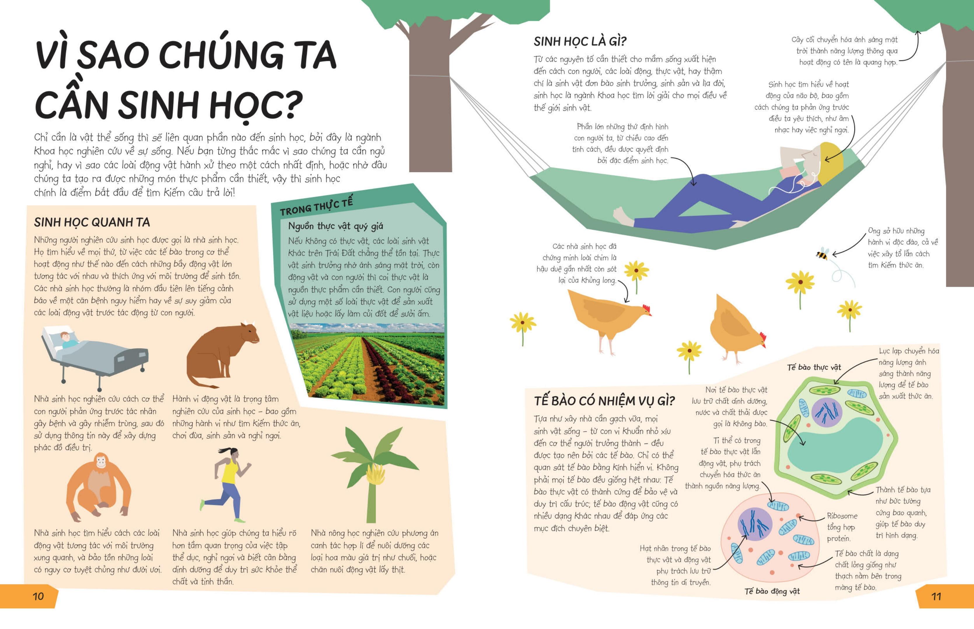 Sách - Biết Để Làm Gì? - Khoa Học Để Làm Gì?
