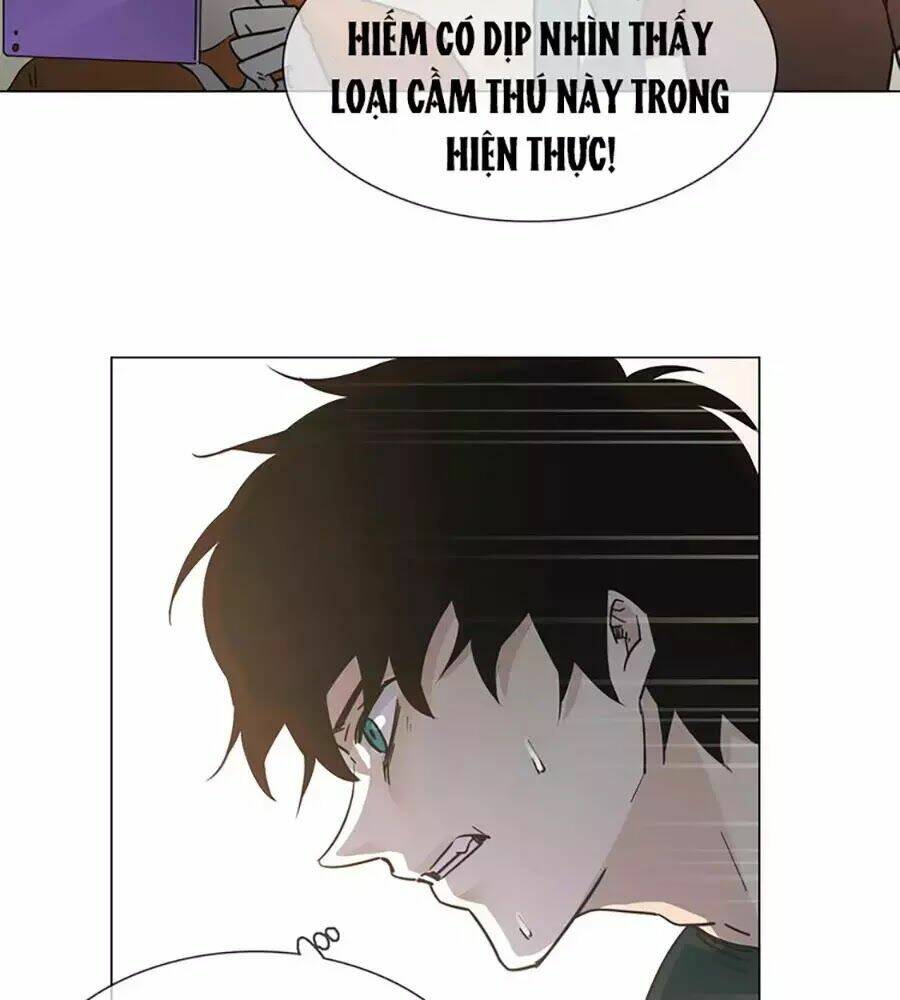 ngôi sao vụn vỡ chapter 24 104