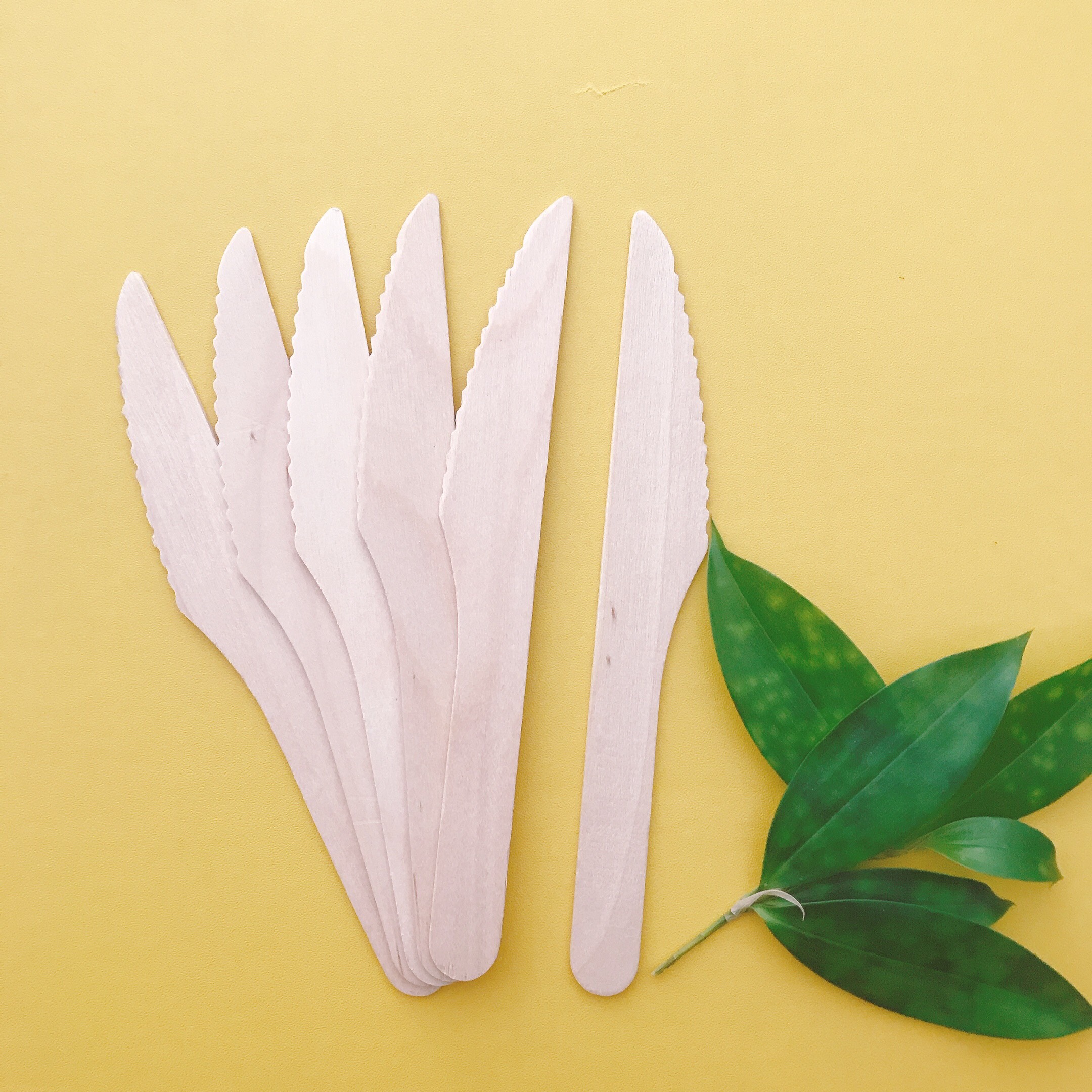 Eco Wooden Bộ 100 chiếc Dao gỗ  sử dụng một lần thân thiện với môi trường