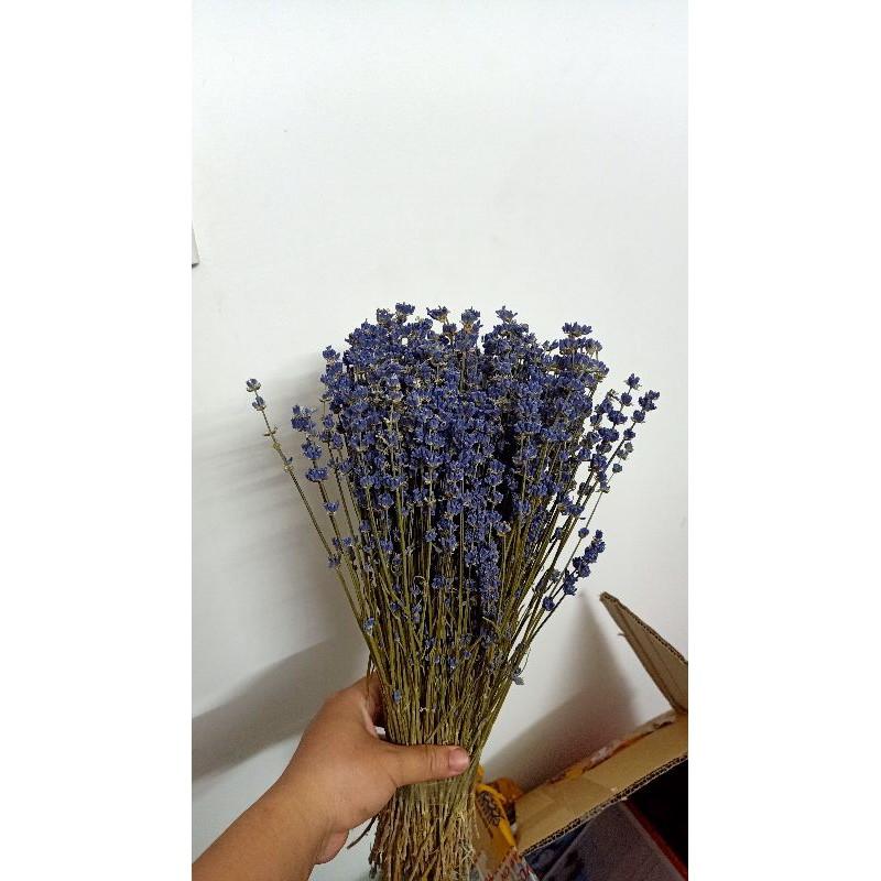 Bó hoa lavender oải hương khô 400 cành tím nhập Pháp