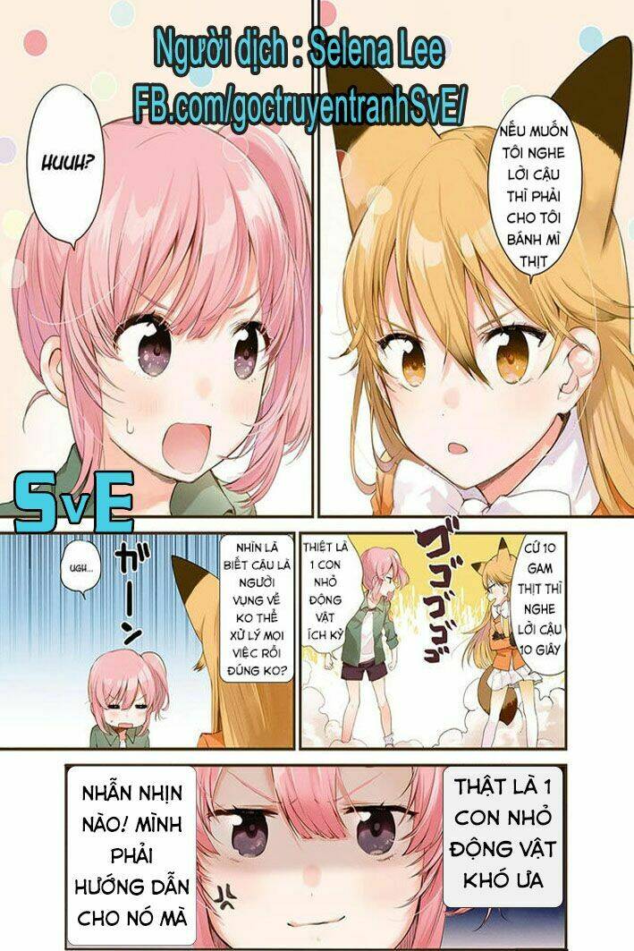 nàng là hồ ly - kemono friends - youkoso javari park e! chapter 1 2