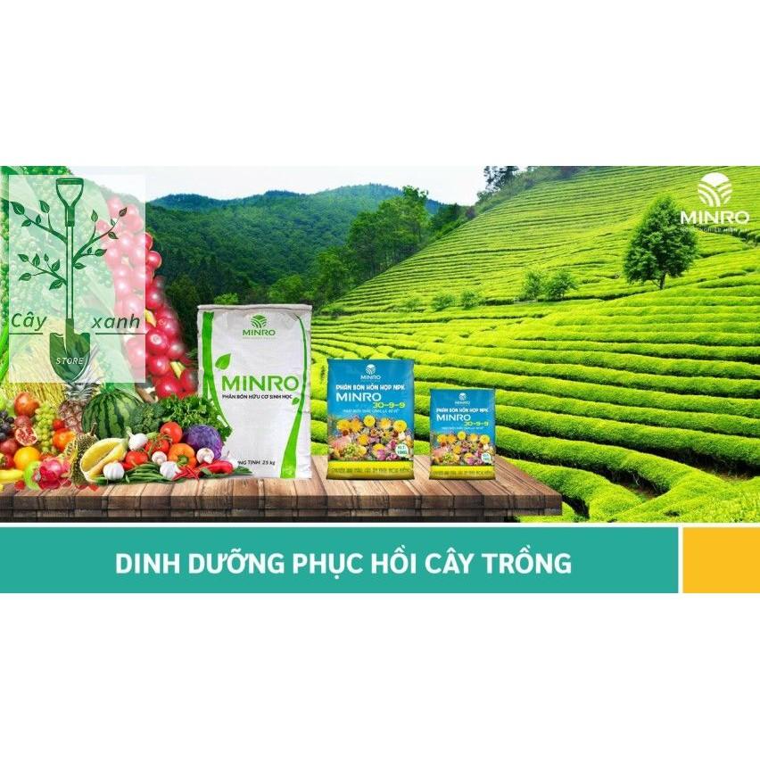 PHÂN BÓN NPK BỔ SUNG VI LƯỢNG MINRO 30-9-9 +TE