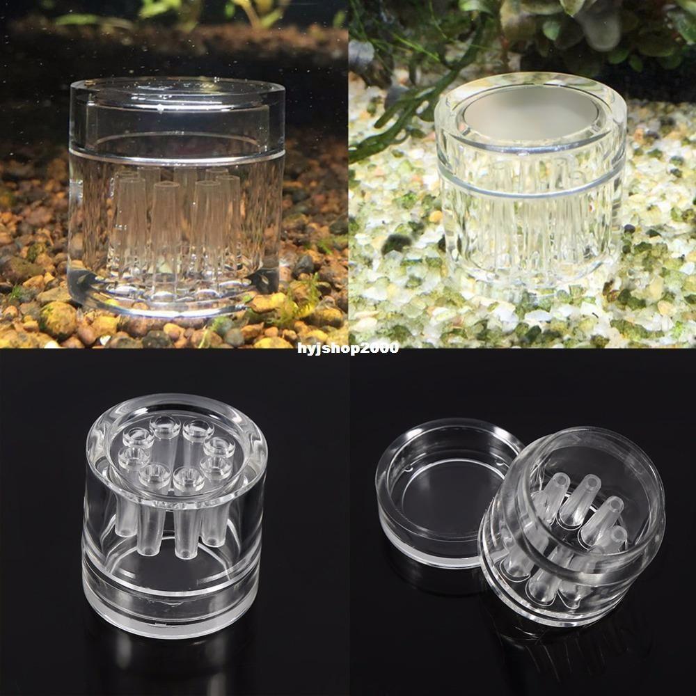 Bẫy sán Mica 9 lỗ