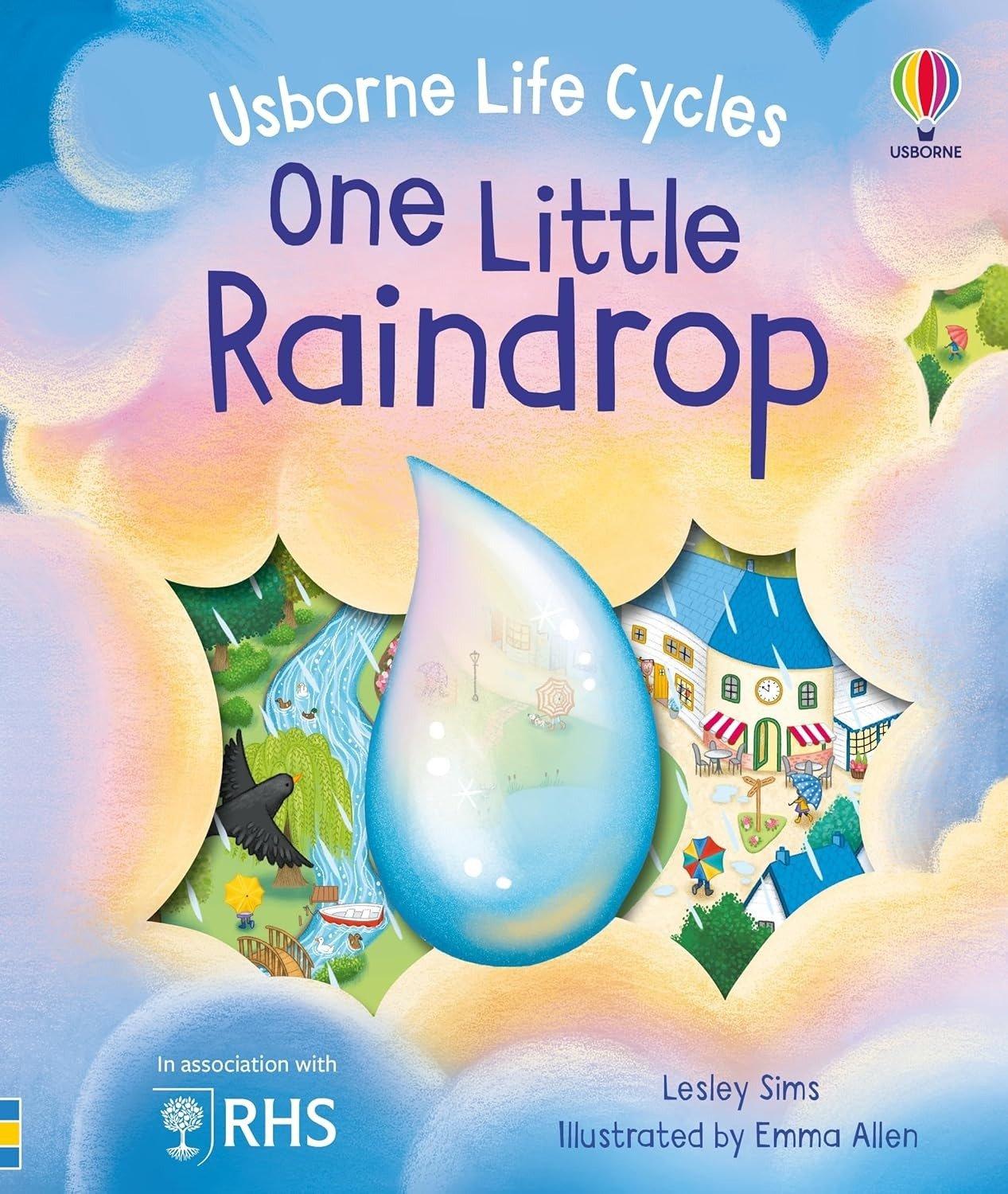 Sách ngoại văn: One Little Raindrop
