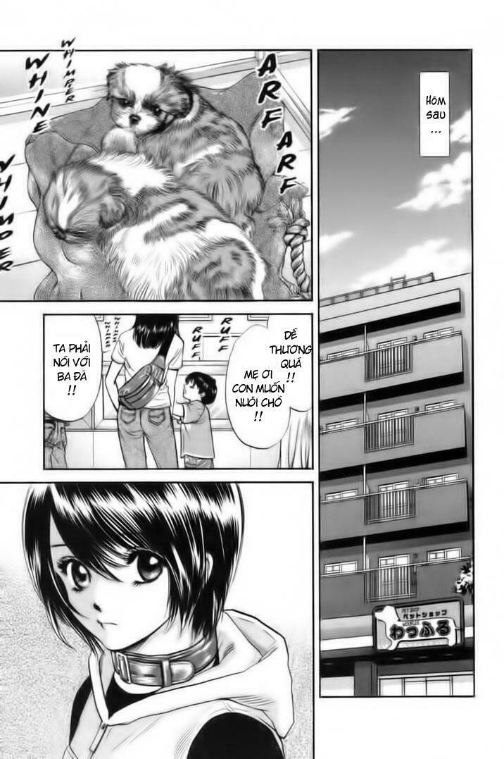 cô nàng yêu chó chapter 26 11