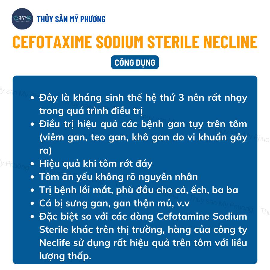 Cefotaxime 98% Necline ks hàm lượng cao Ấn Độ gan sưng vàng mờ đường ruột phân trắng ehp 1kg tôm thẻ cá lươn ếch ốc baba
