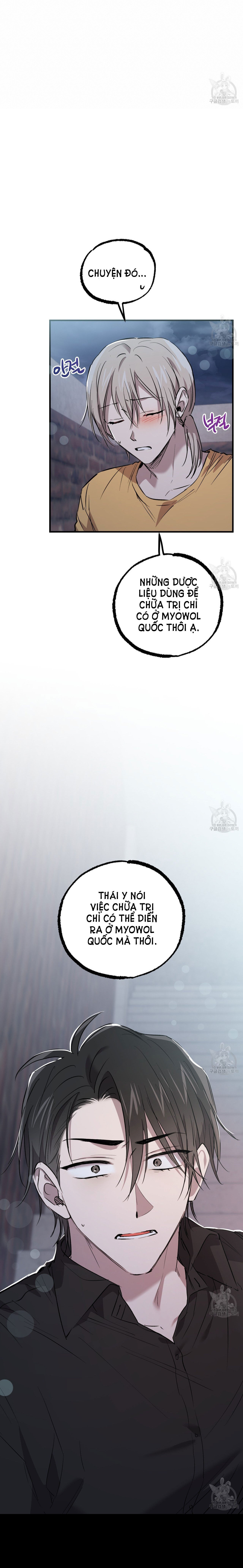 những chú thỏ của hapypy chapter 60.1 16