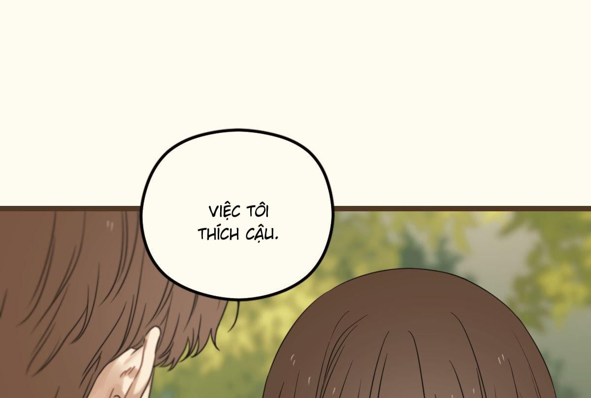 tương phùng chapter 39 396