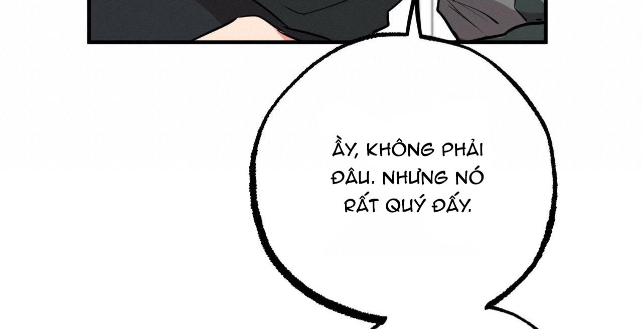 đàn thỏ của habibi chapter 36 156