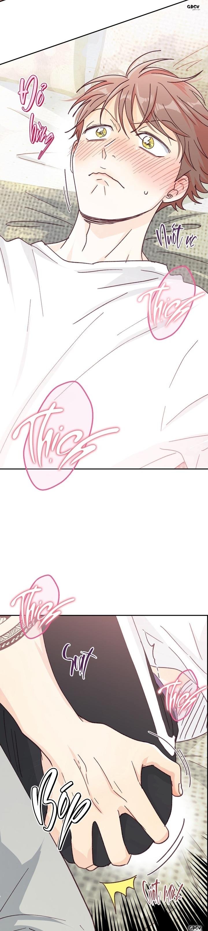 bạn trai vô song của tôi Chapter 33 NT1 18+ 26