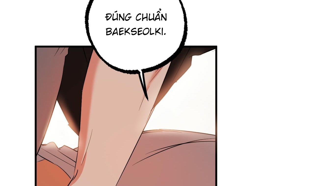 đàn thỏ của habibi chapter 53 248