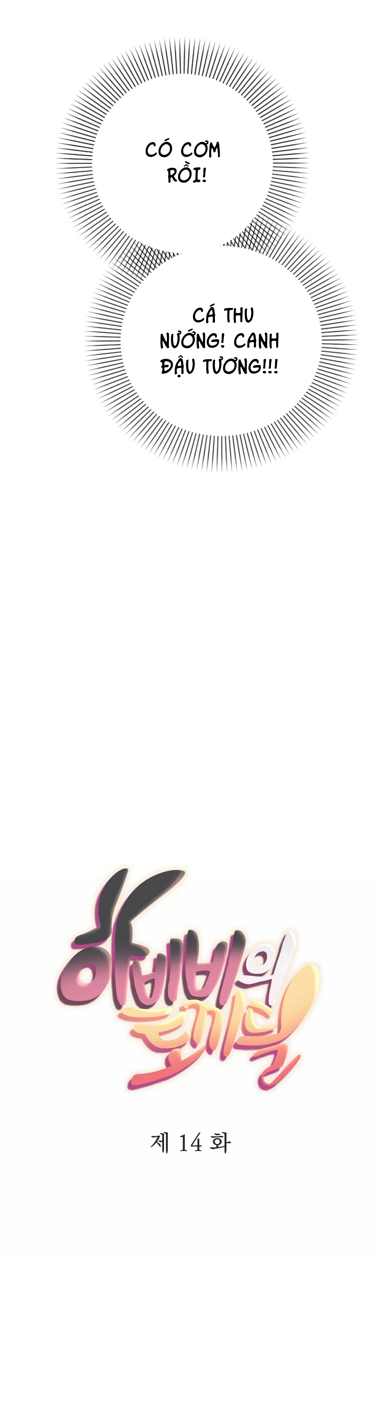 những chú thỏ của hapypy chapter 14 12