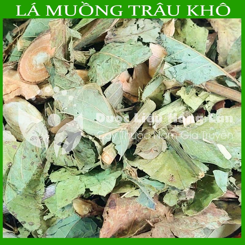 Lá Muồng Trâu khô đóng gói 500gram