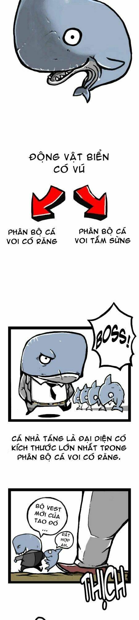 earth, human, and animal chapter 13 8