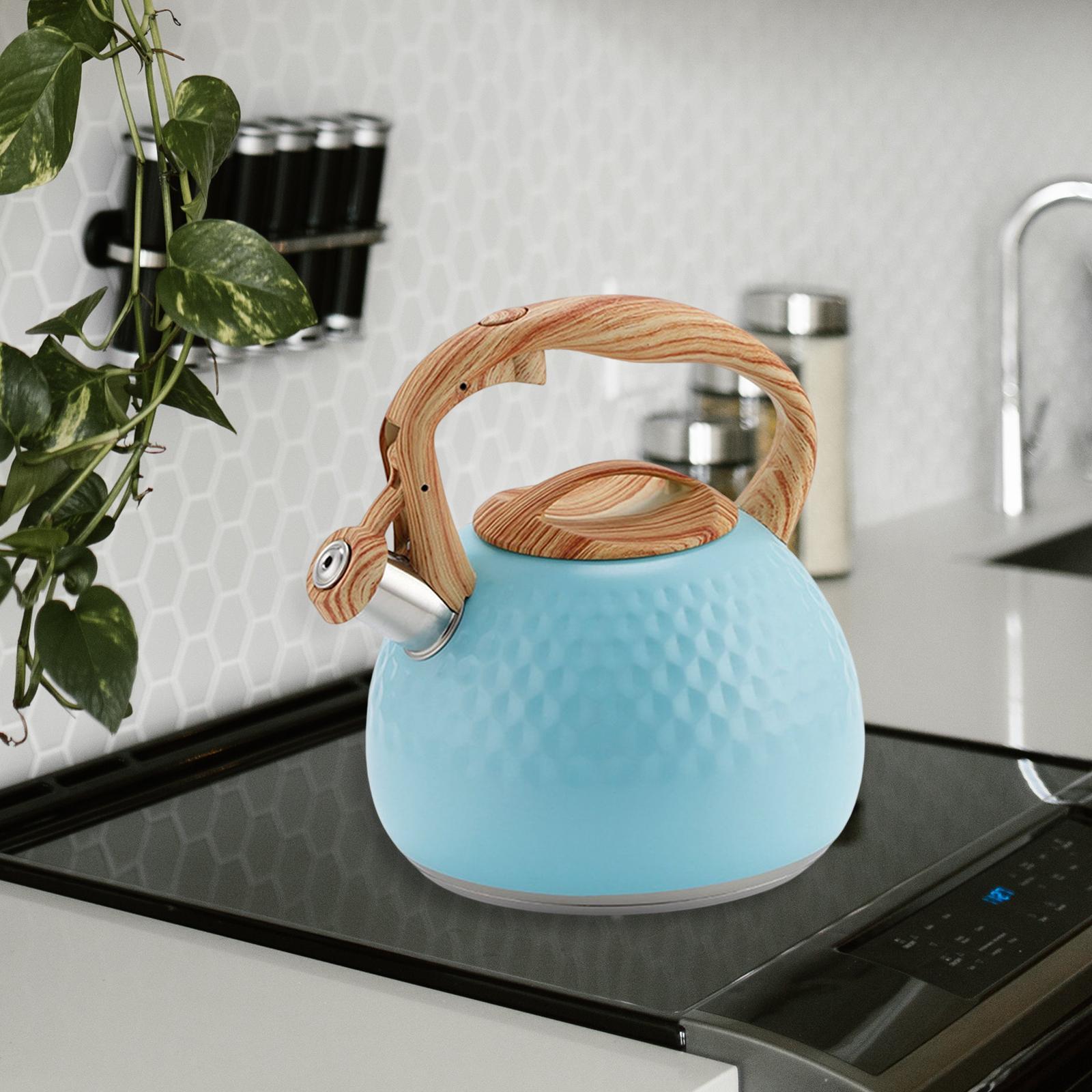 Stainless Steel Whistle Kettle 3L Teapot for Induction Cooker Tea Room Home